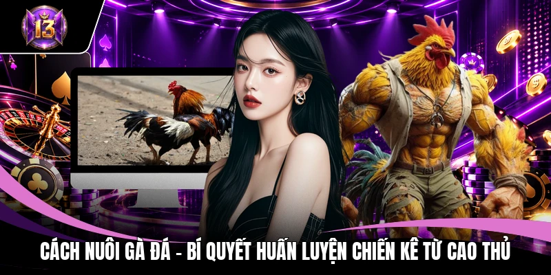 Cách Nuôi Gà Đá - Bí Quyết Huấn Luyện Chiến Kê Từ Cao Thủ 1 Cách nuôi gà đá