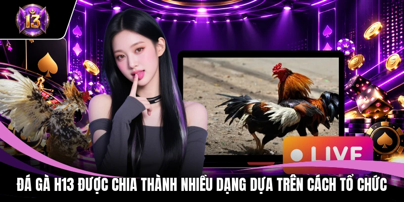 Đá gà H13 1 Đá gà H13 được chia thành nhiều dạng dựa trên cách tổ chức