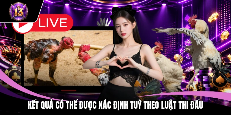 Đá gà H13 2 Kết quả có thể được xác định tuỳ theo luật thi đấu