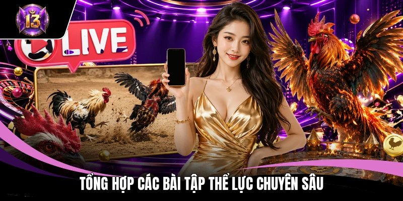 Cách Nuôi Gà Đá - Bí Quyết Huấn Luyện Chiến Kê Từ Cao Thủ 4 Tổng hợp các bài tập thể lực chuyên sâu